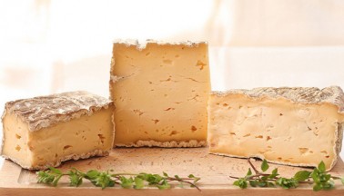 TALEGGIO ORO DOP CHIODO